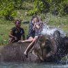 ELEPHANT BATHING