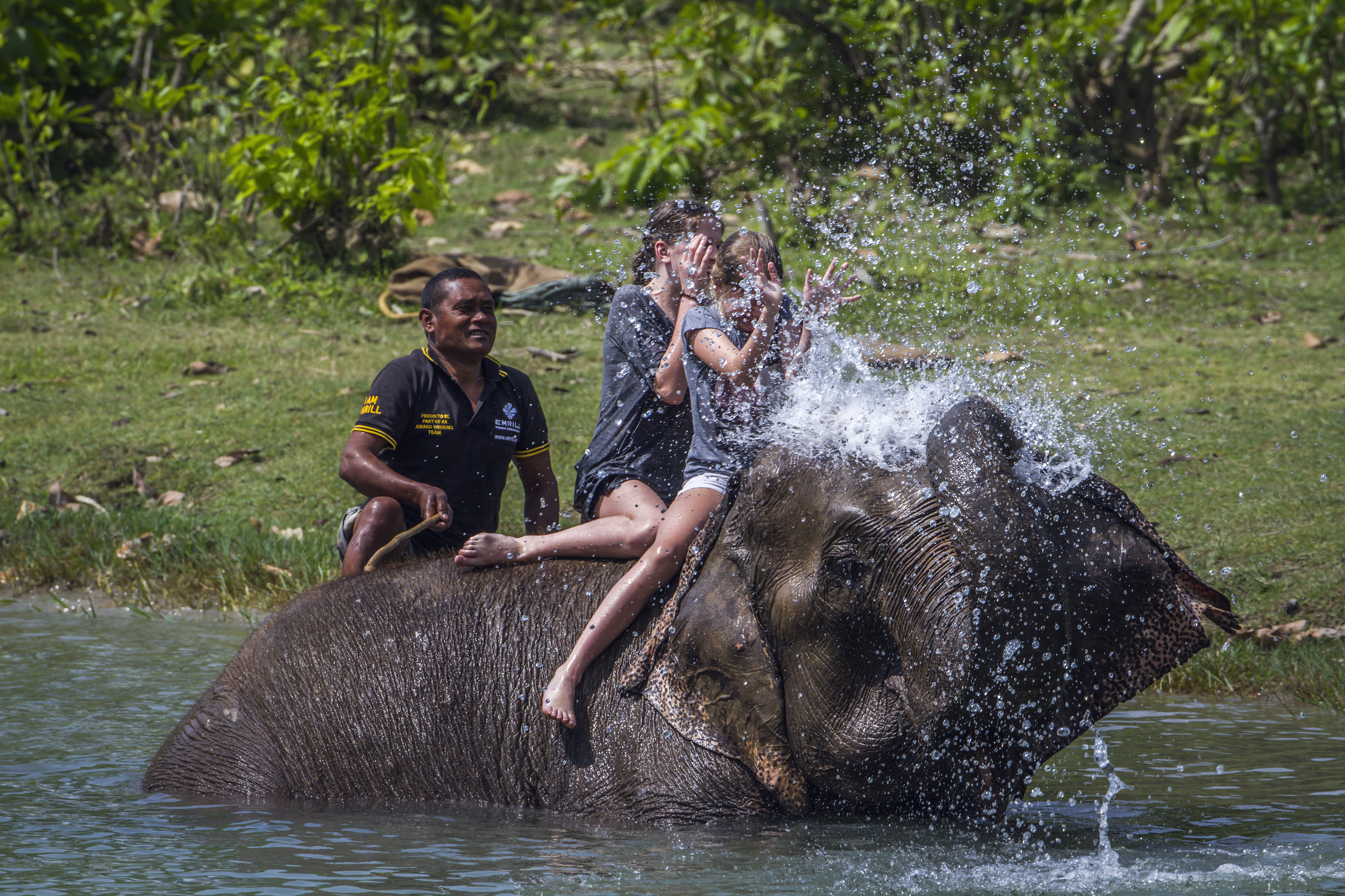 ELEPHANT BATHING