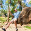 Elephan-lifting-a-tourist