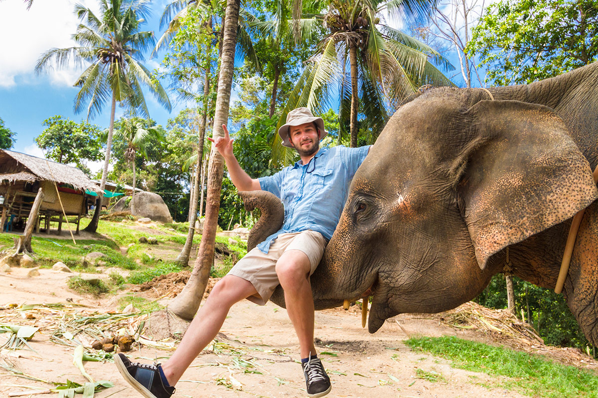 Elephan-lifting-a-tourist
