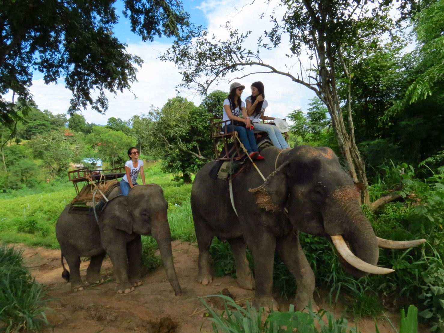elephant ridding at kanchanaburi