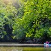kayaking among the nature