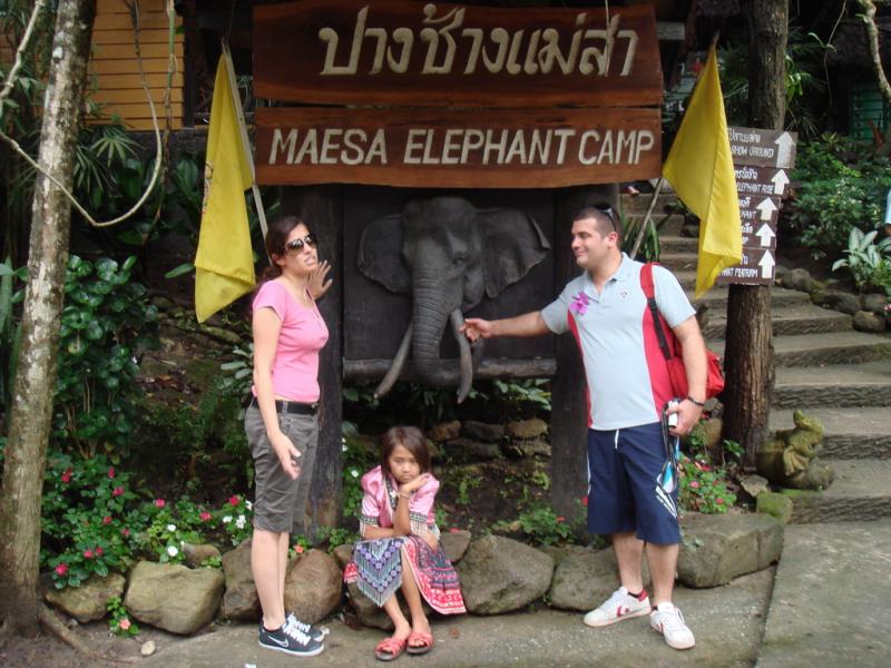 chiangmai elephant camp