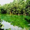 Krabi Emerald pool