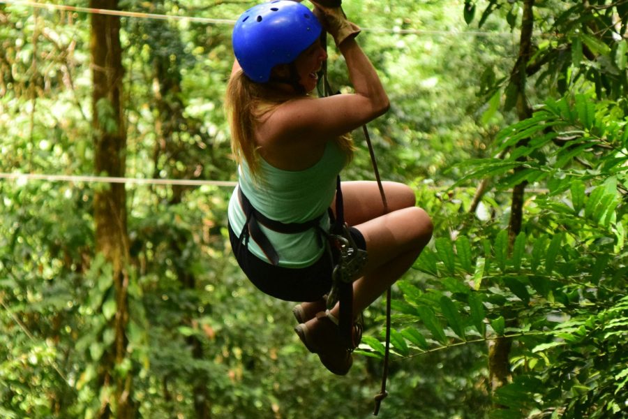 SDEUSM028: ZIPLINE PROGRAM  B 16 PLATFORMS (Activity Time 45 Minutes – 1 Hour)